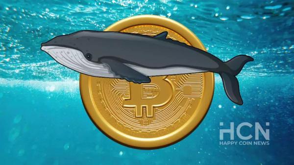 Криптокиты продолжают накапливать биткоины во время флэта